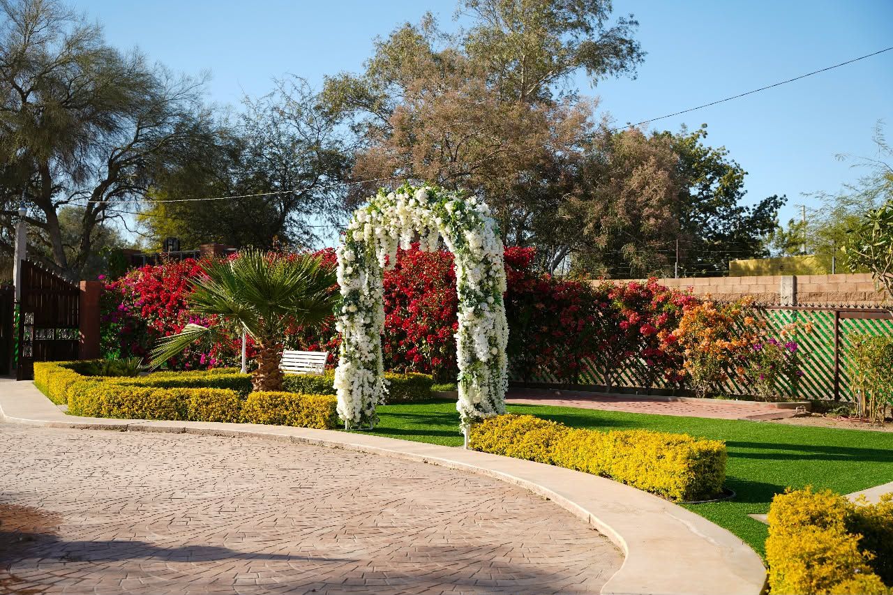 Arco de flores blancas frente a un muro de bugambilia roja
